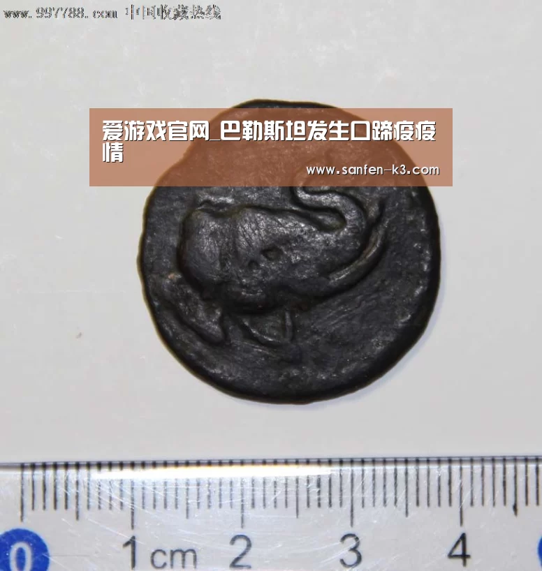 爱游戏APP下载