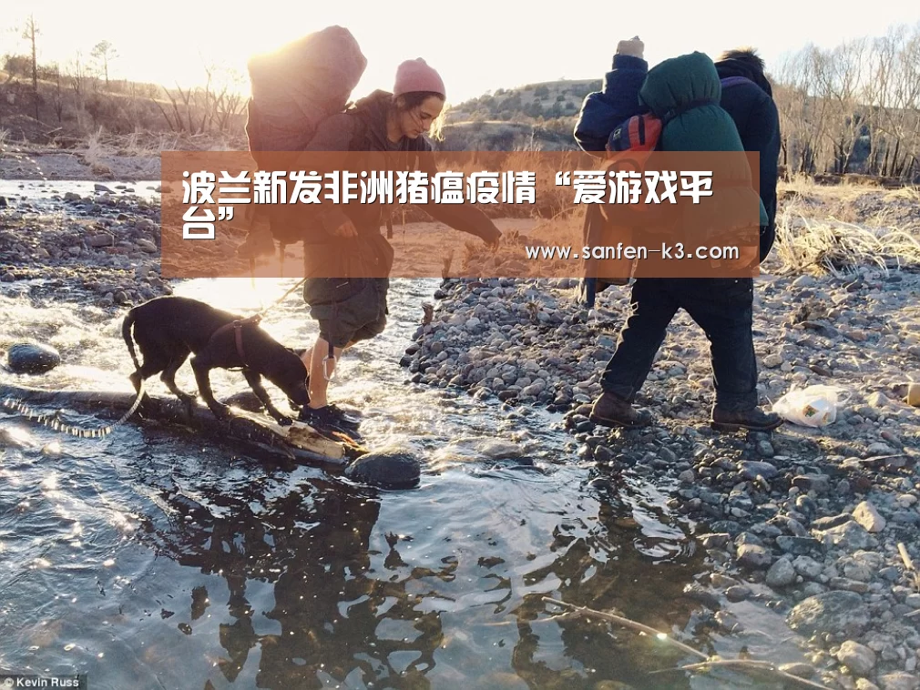 波兰新发非洲猪瘟疫情“爱游戏平台”(图4) 爱游戏APP下载