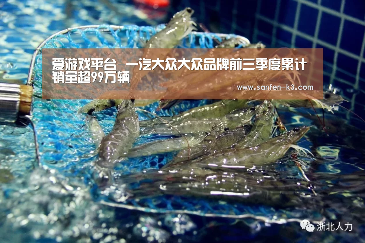 爱游戏平台-一汽大众大众品牌前三季度累计销量超99万辆(图1) 爱游戏游戏平台