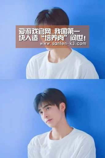 爱游戏游戏平台
