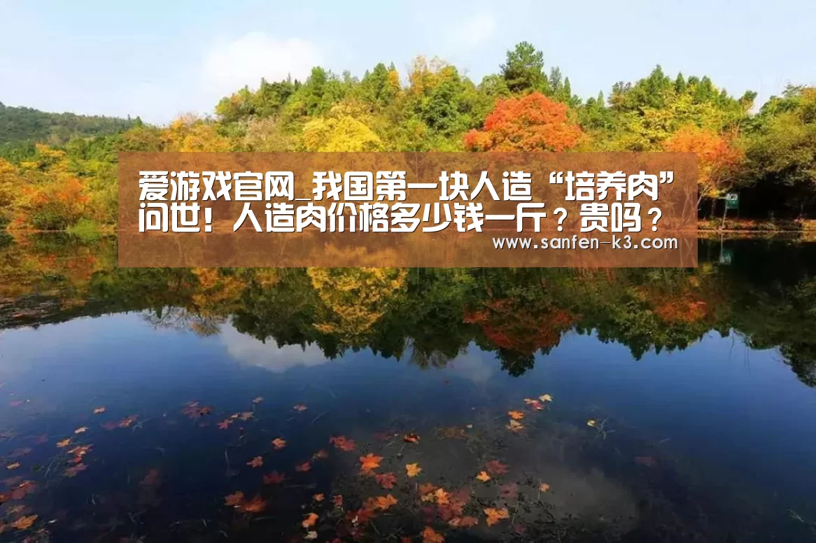 爱游戏APP下载