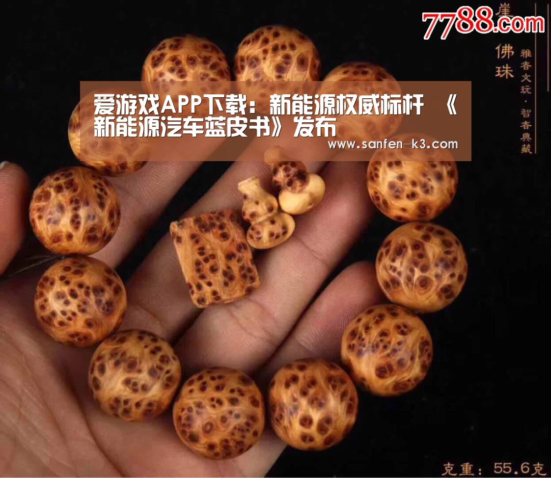 爱游戏APP下载:新能源权威标杆 《新能源汽车蓝皮书》发布(图1) 爱游戏游戏平台