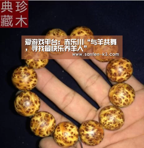 爱游戏平台:赤乐川“与羊共舞,寻找最快乐养羊人”(图4) 爱游戏游戏平台
