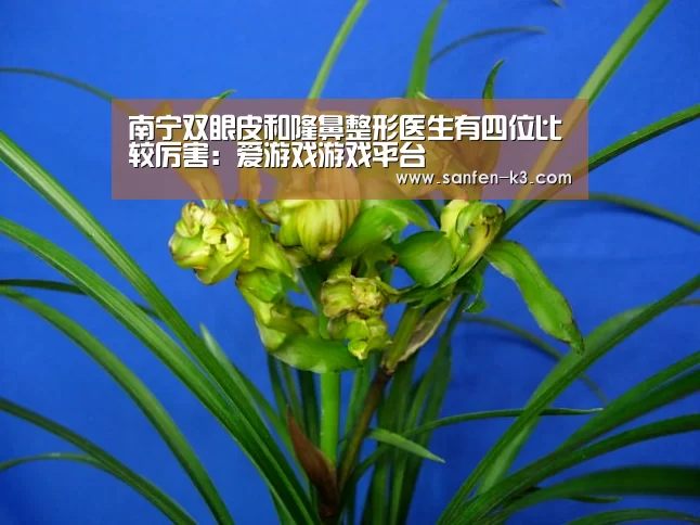 南宁双眼皮和隆鼻整形医生有四位比较厉害:爱游戏游戏平台(图1) 爱游戏平台