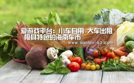 爱游戏平台:小车自用 大车出租 极具特色的海南车市(图1) 爱游戏游戏平台