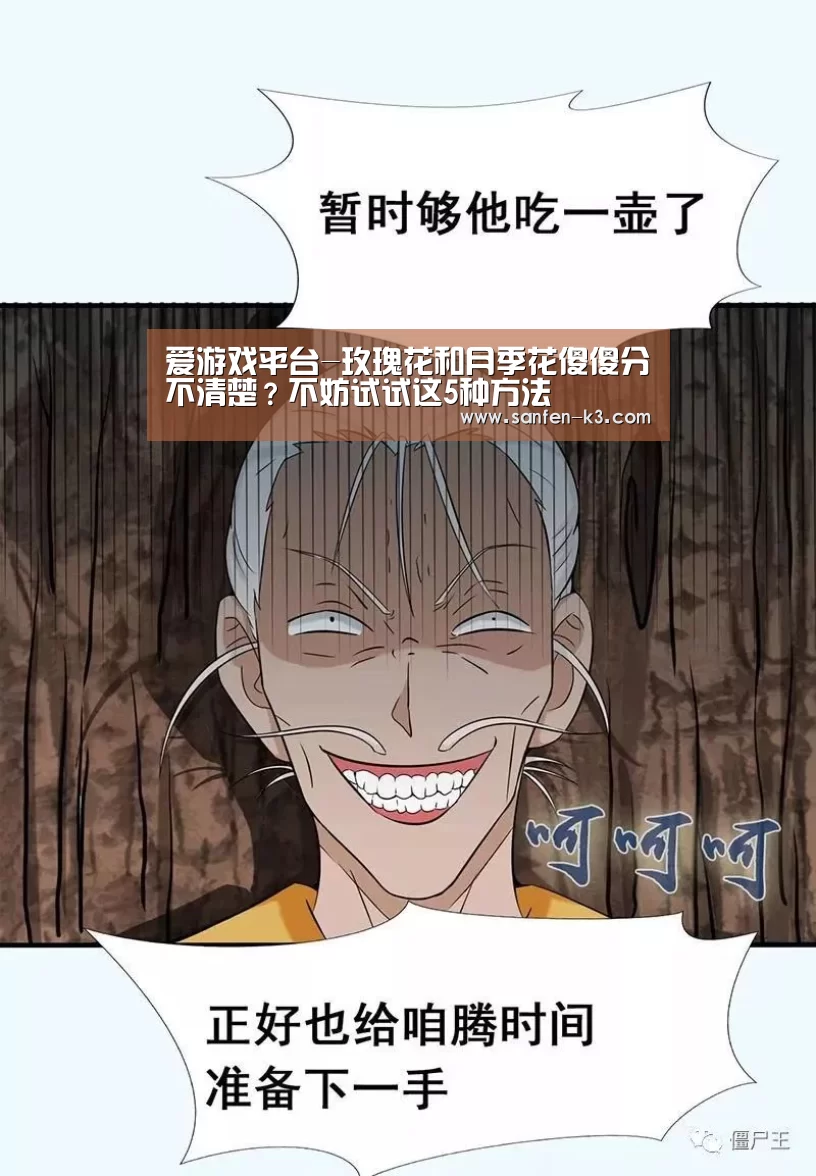 爱游戏平台-玫瑰花和月季花傻傻分不清楚?不妨试试这5种方法(图1) 爱游戏APP下载
