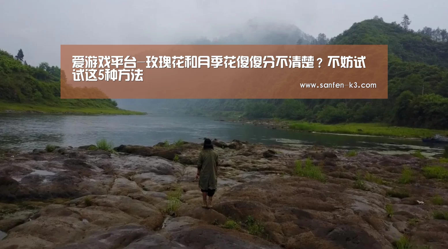 爱游戏平台-玫瑰花和月季花傻傻分不清楚?不妨试试这5种方法(图3) 爱游戏平台
