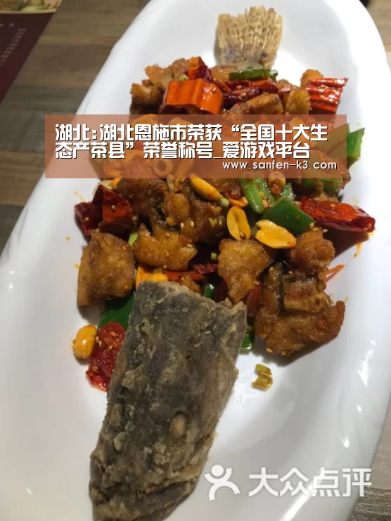 湖北:湖北恩施市荣获“全国十大生态产茶县”荣誉称号_爱游戏平台(图3) 爱游戏APP下载