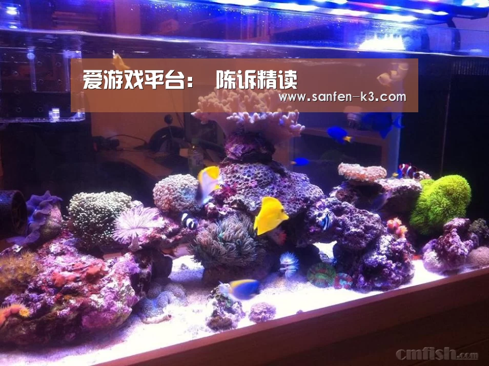 爱游戏平台:
陈诉精读(图3) 爱游戏平台